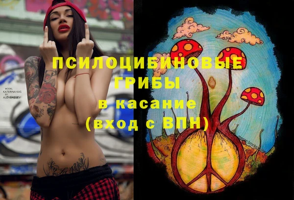 каннабис Аркадак
