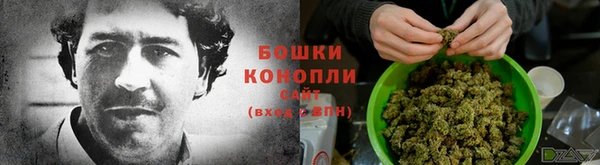 каннабис Аркадак
